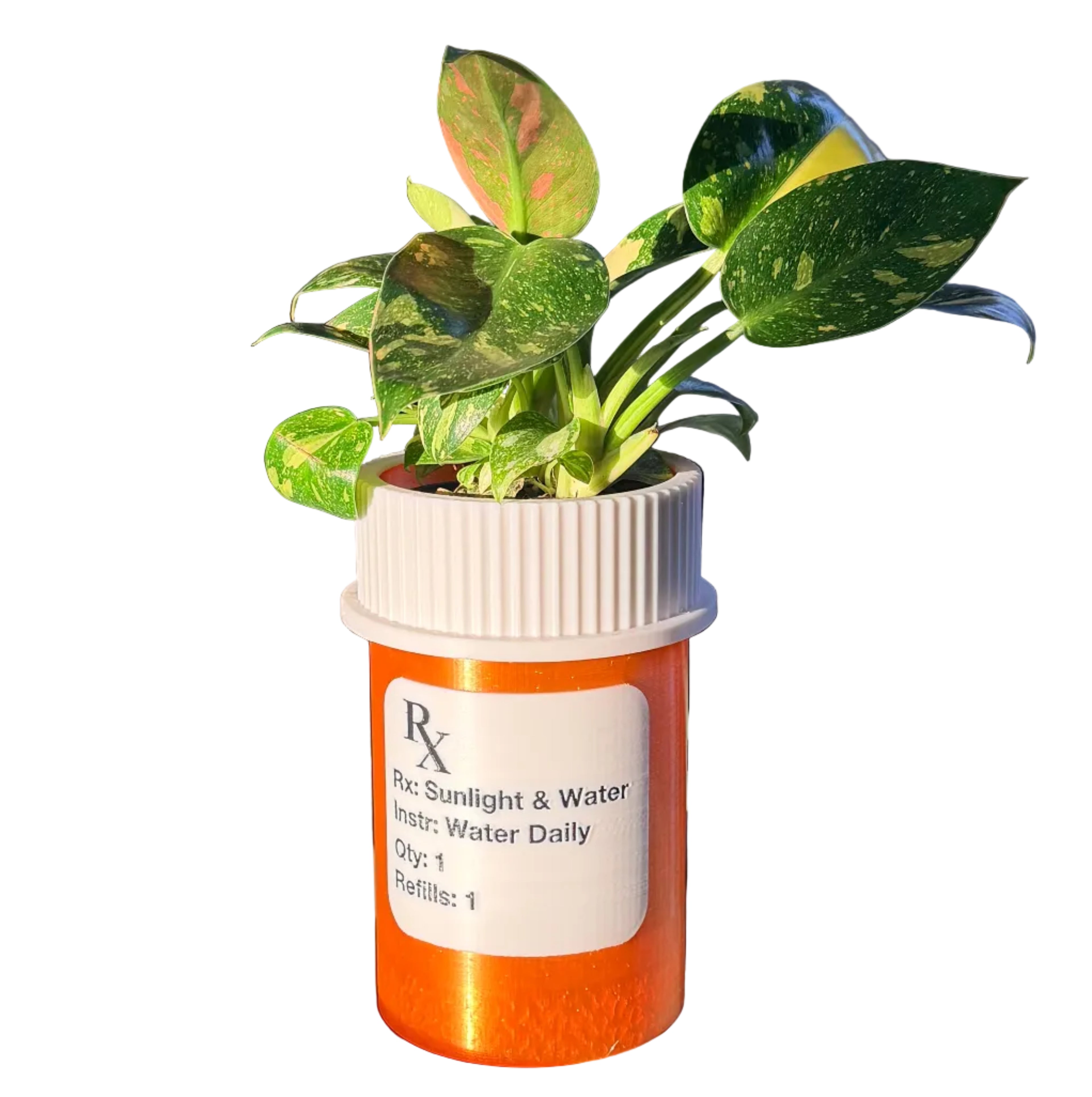 Plant Prescription Planter