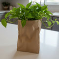 Paper Bag Planter with Hidden Drip Tray