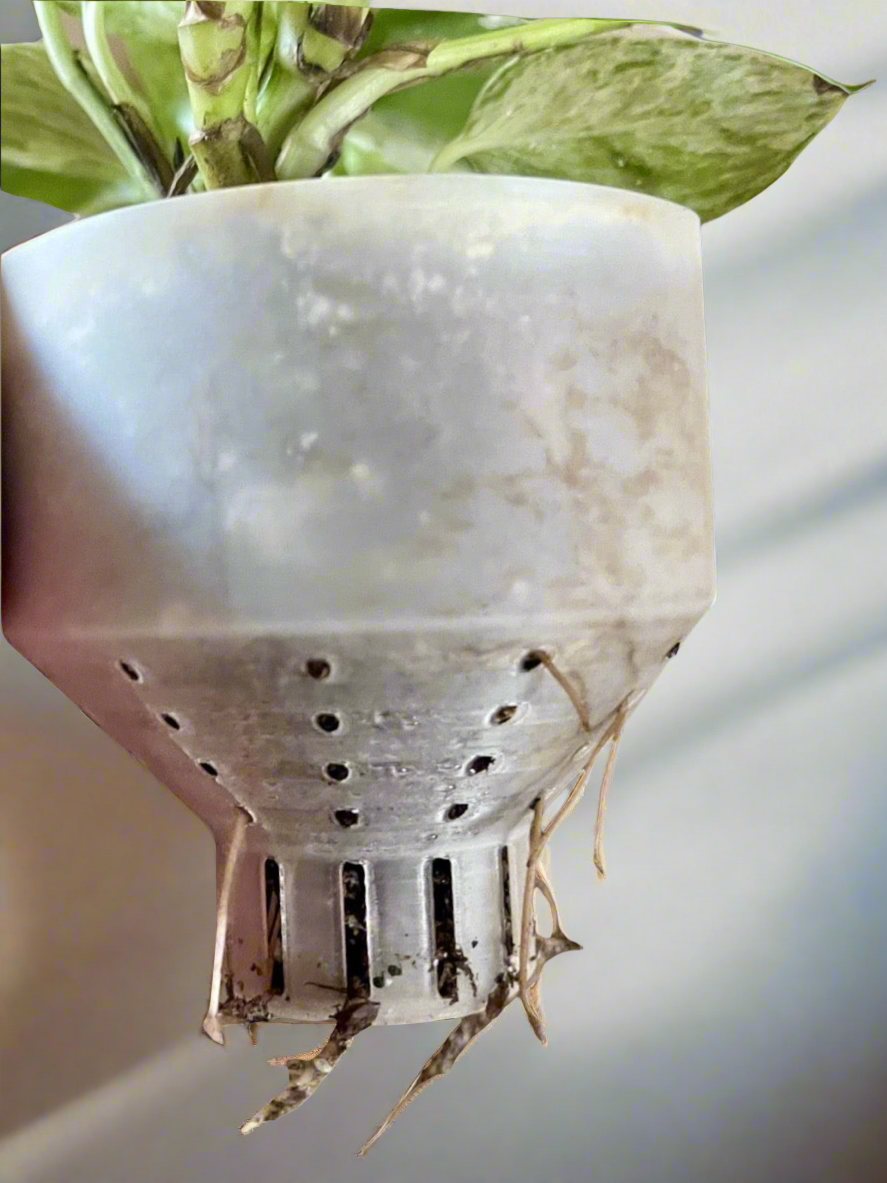Show Me Roots Self Watering Planter