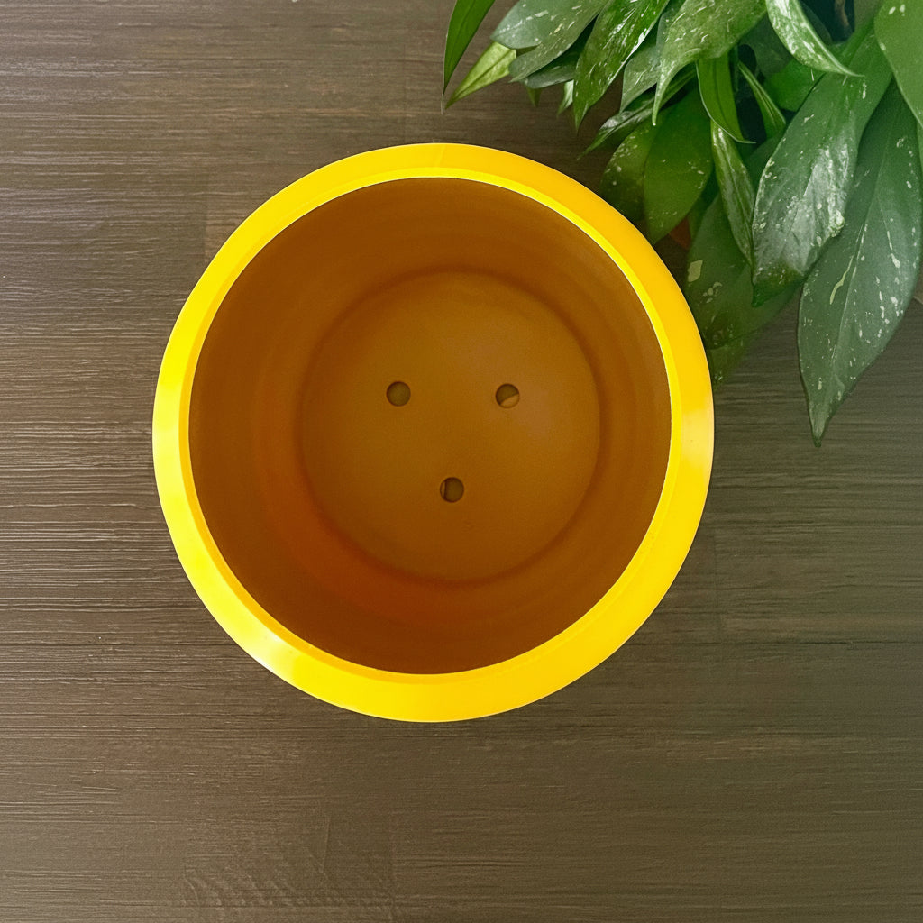 Winnie the Pooh Honey Pot with Drip Tray