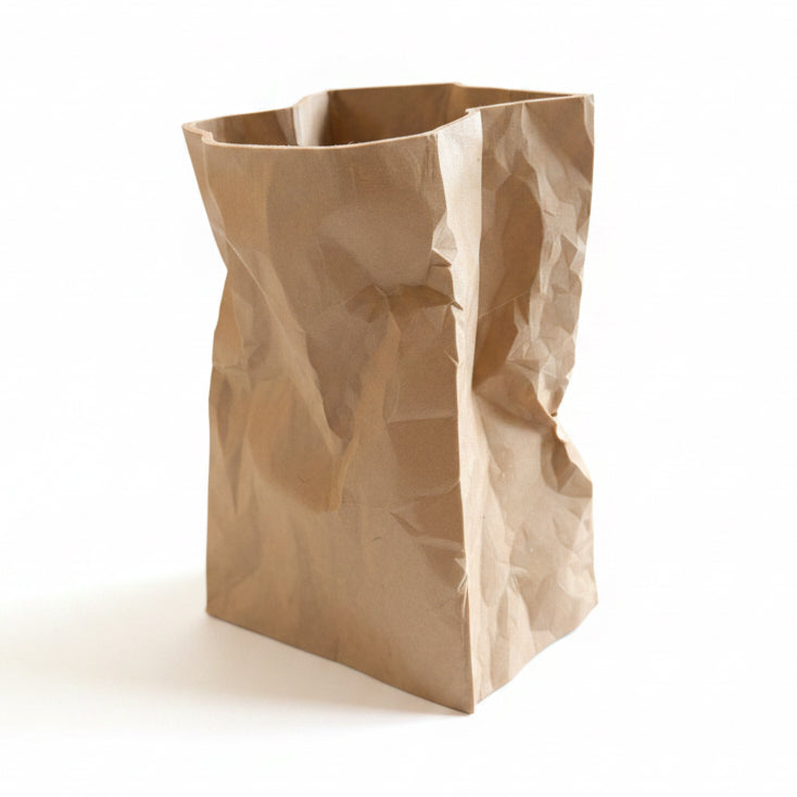 Paper Bag Planter with Hidden Drip Tray