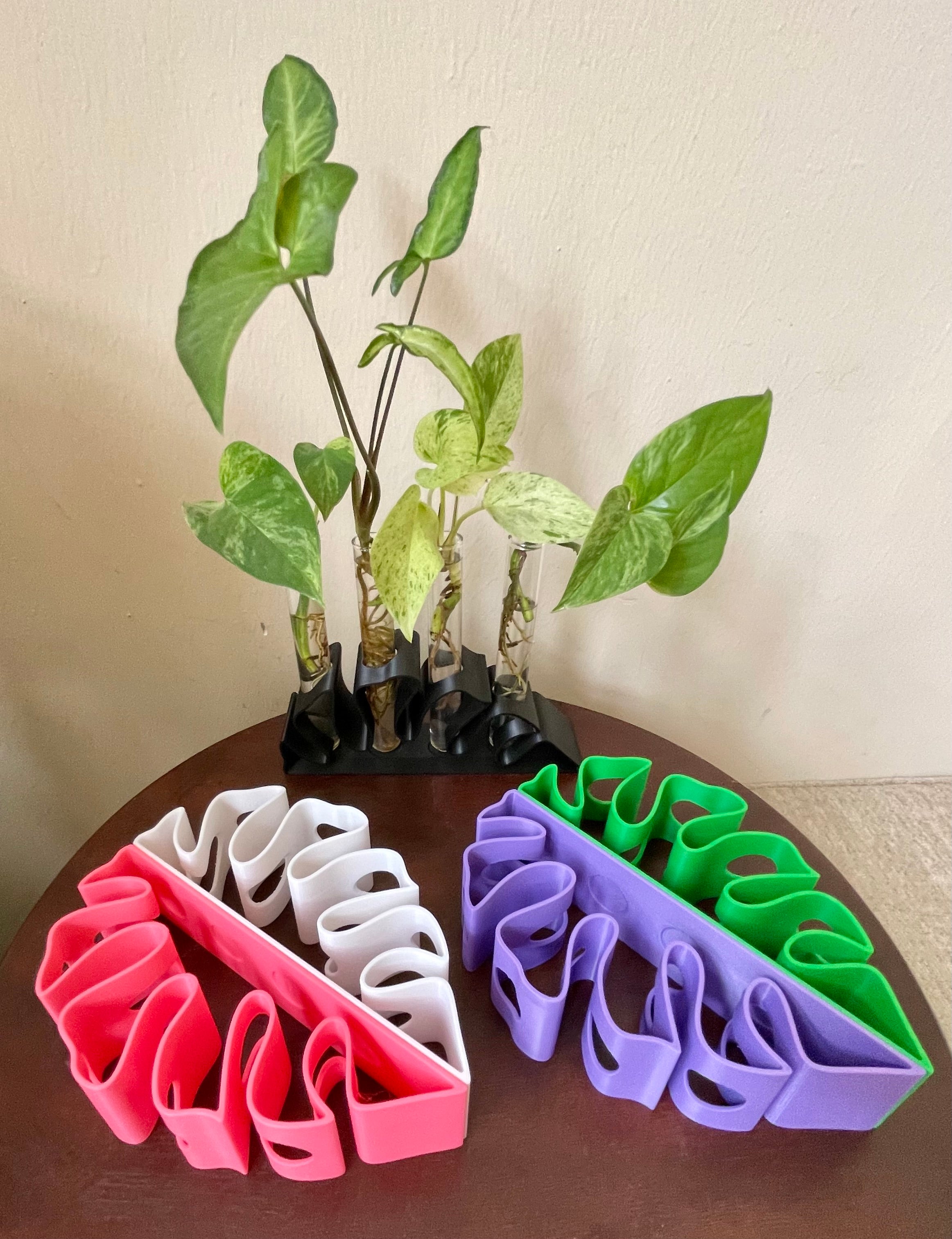 Monstera Leaf Propagation Station – includes Glass Tubes