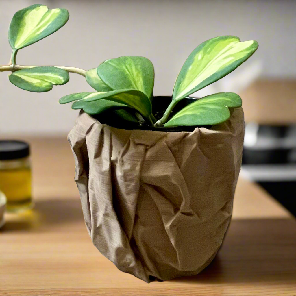 The Brown Bag Special Planter Edition