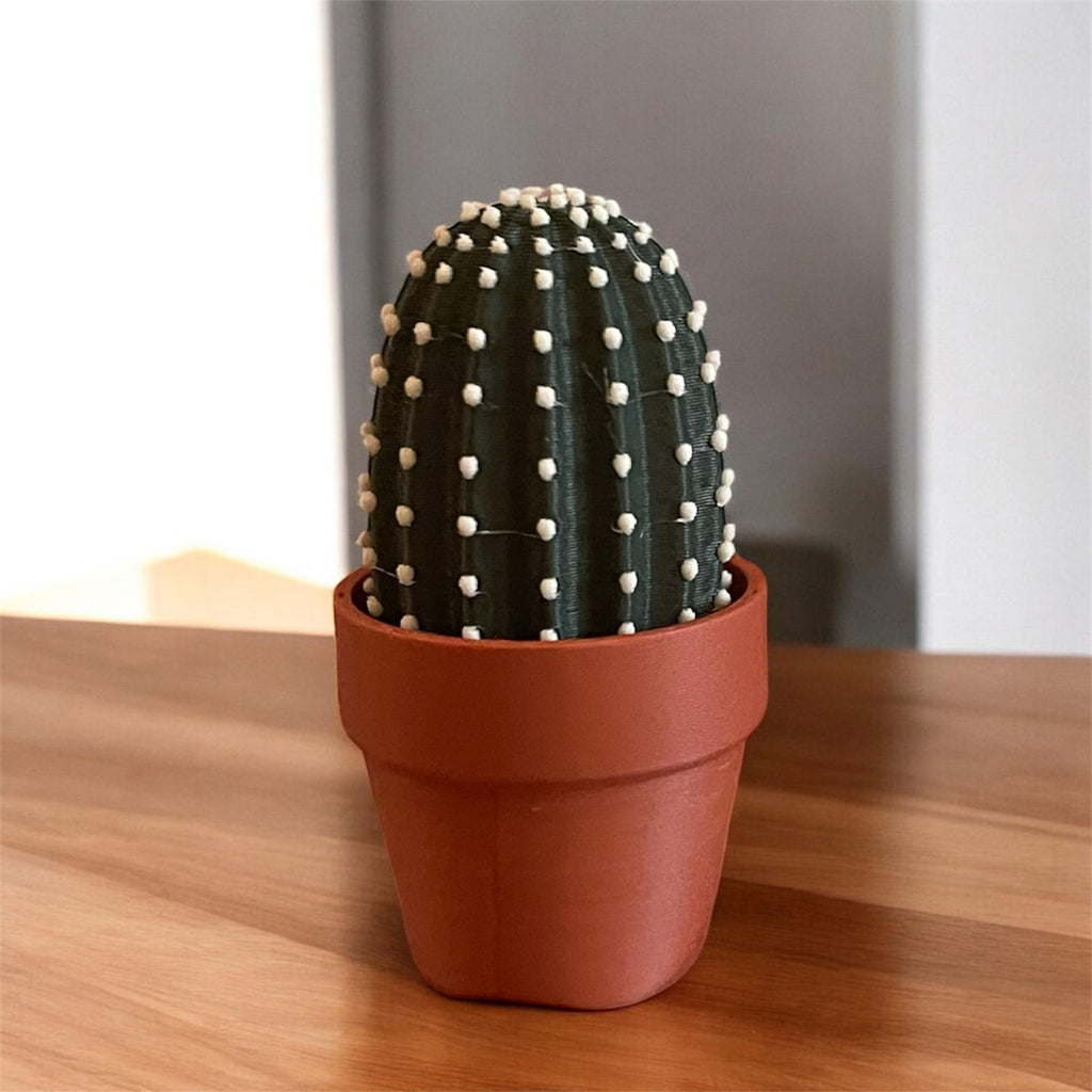 Cactus Clicker Fidget Toys