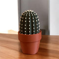 Cactus Clicker Fidget Toys