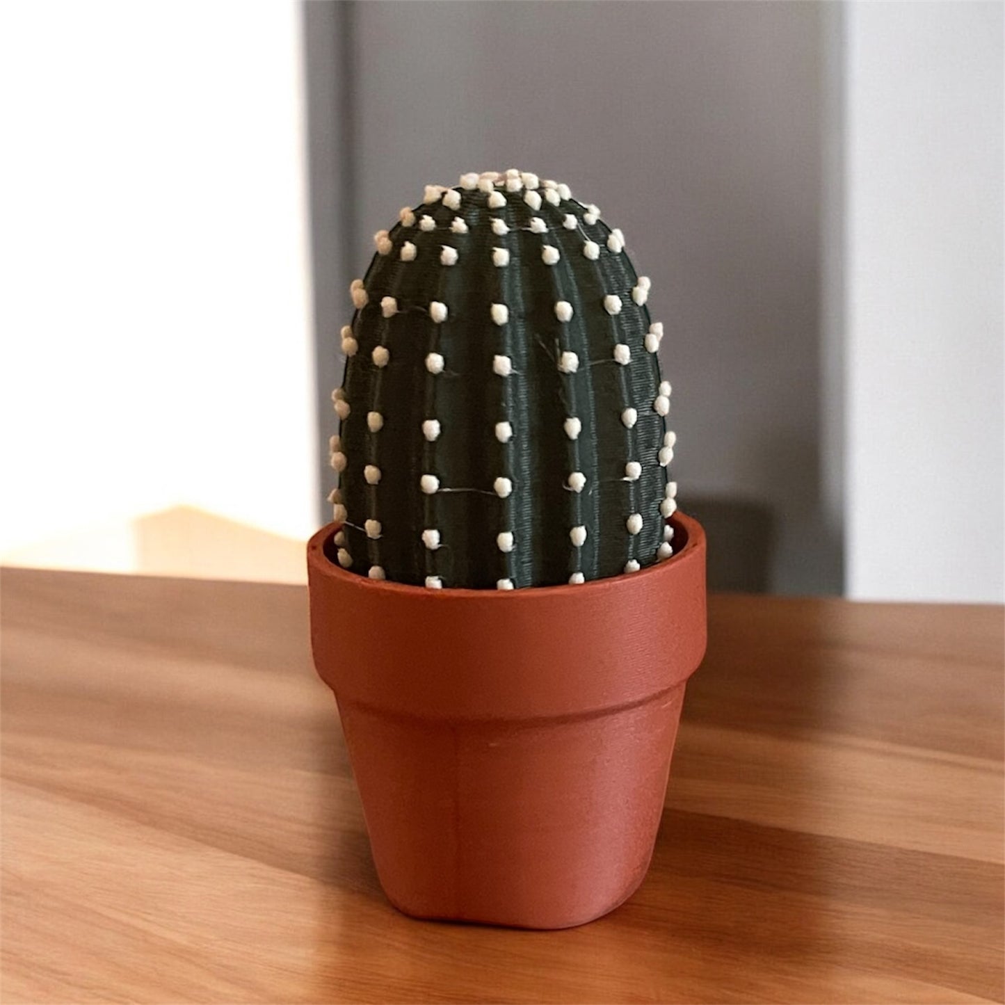 Cactus Clickers Fidget Toy Collection with Display Stand