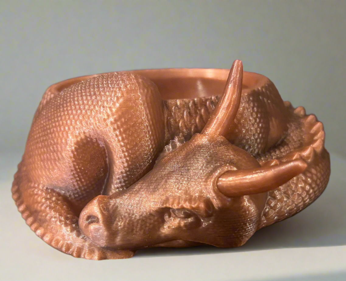 Slumber Dragon Jewelry Holder