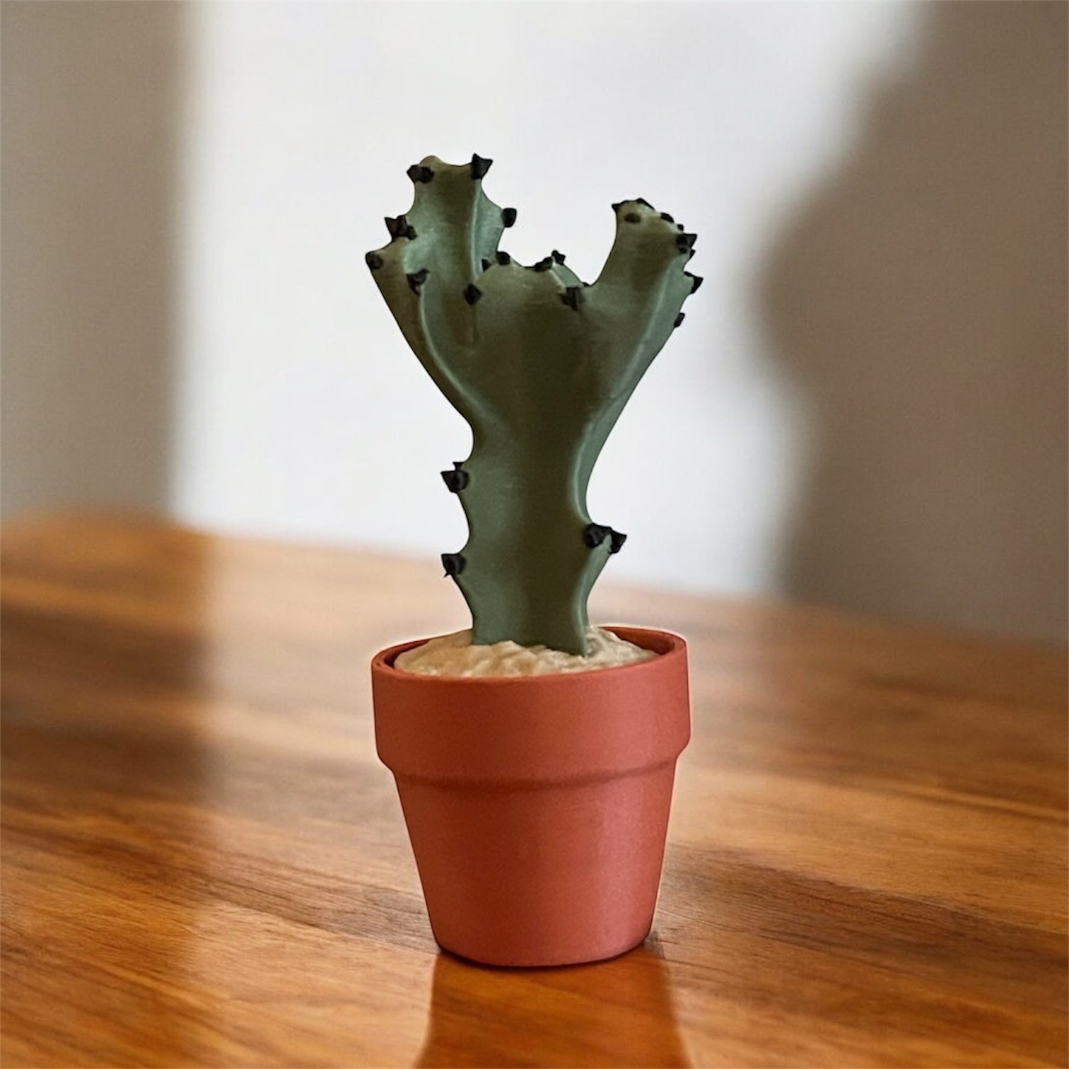 Cactus Clicker Fidget Toys