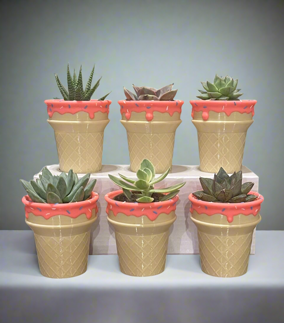 Six-Pack Succulent Filled Ice Cream Scoop Party Favors