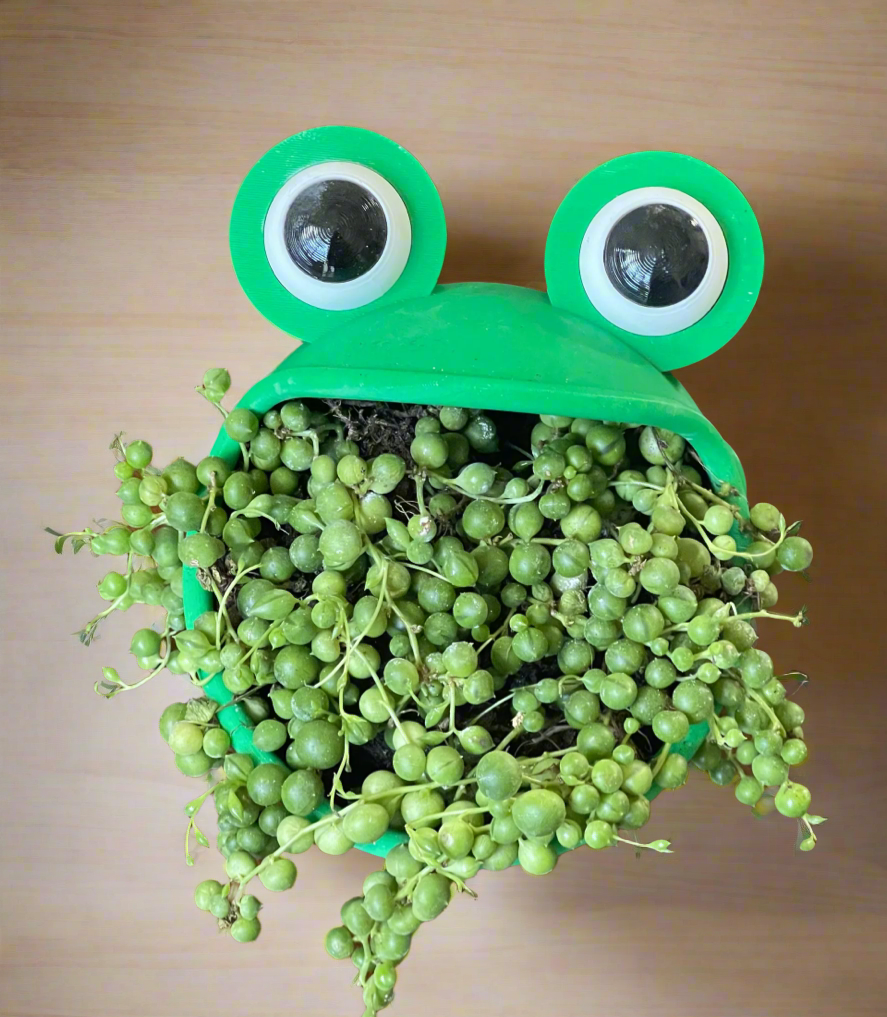 plastic frog planter Big Mouth Frog Planter