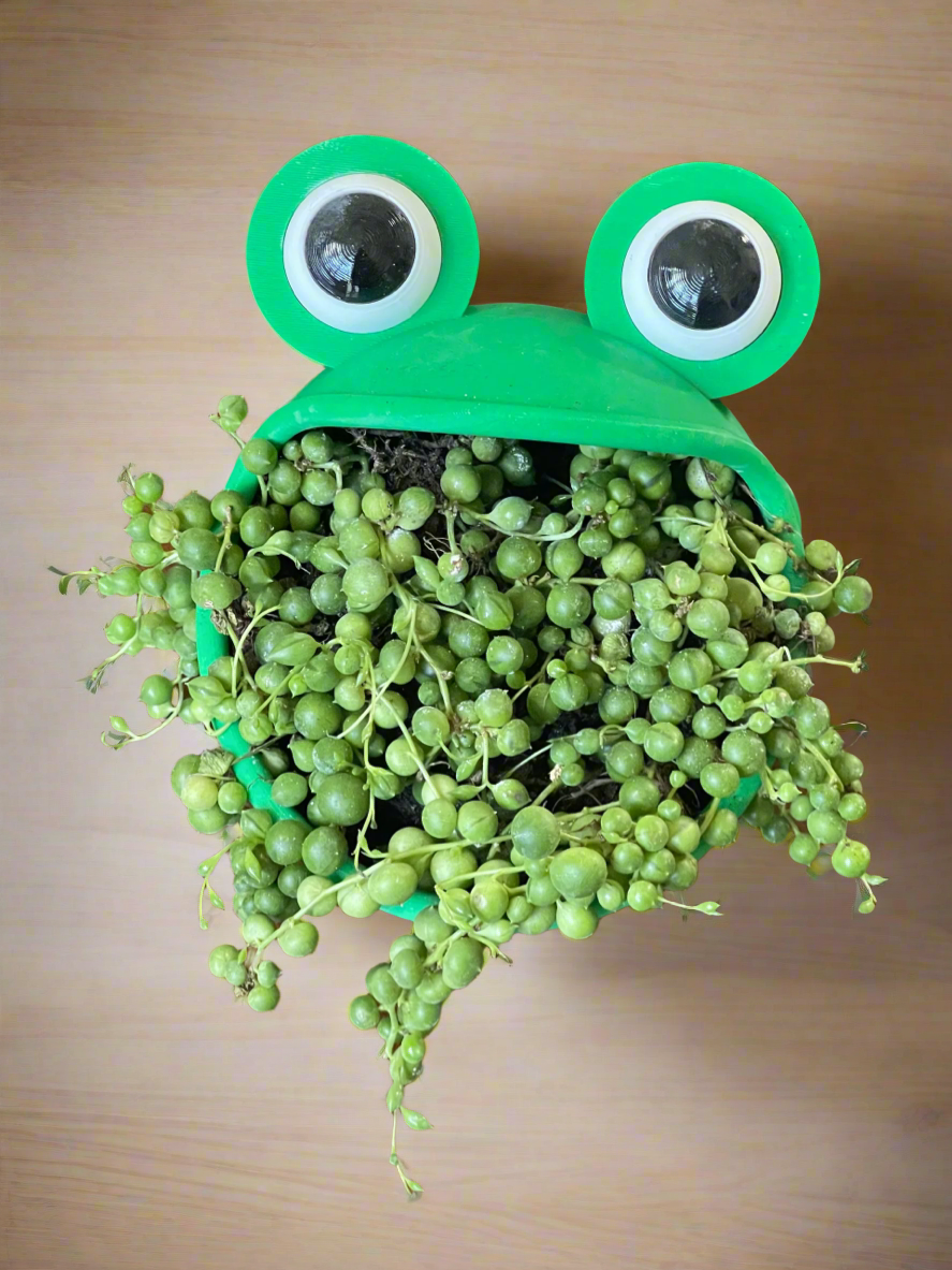 Big Mouth Frog Planter