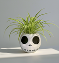 Halloween Mini Skull Planter