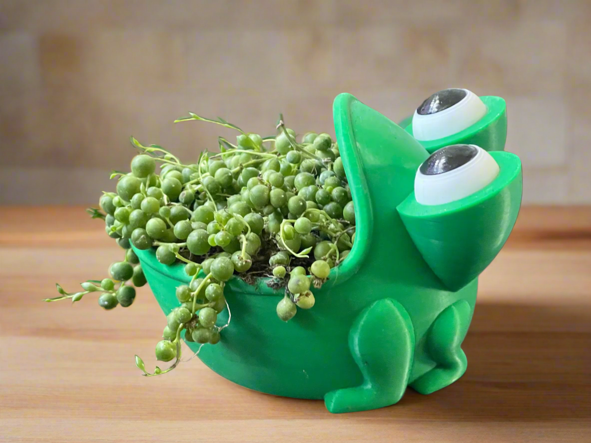 Big Mouth Frog Planter