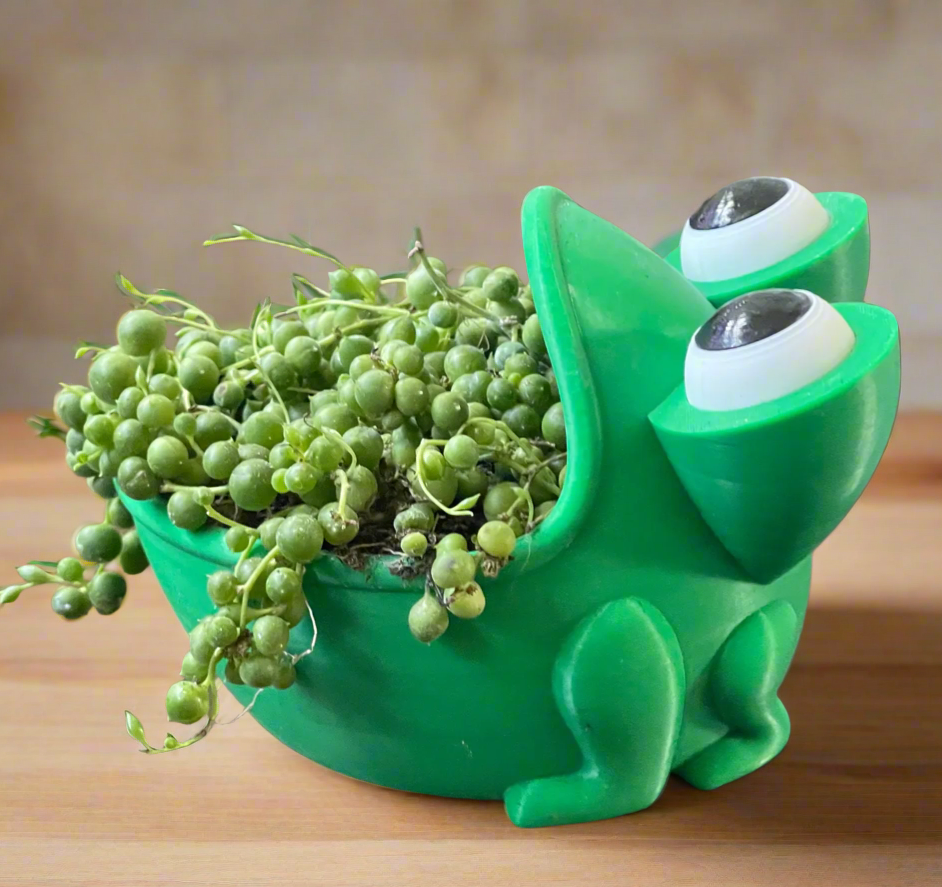 Big Mouth Frog Planter