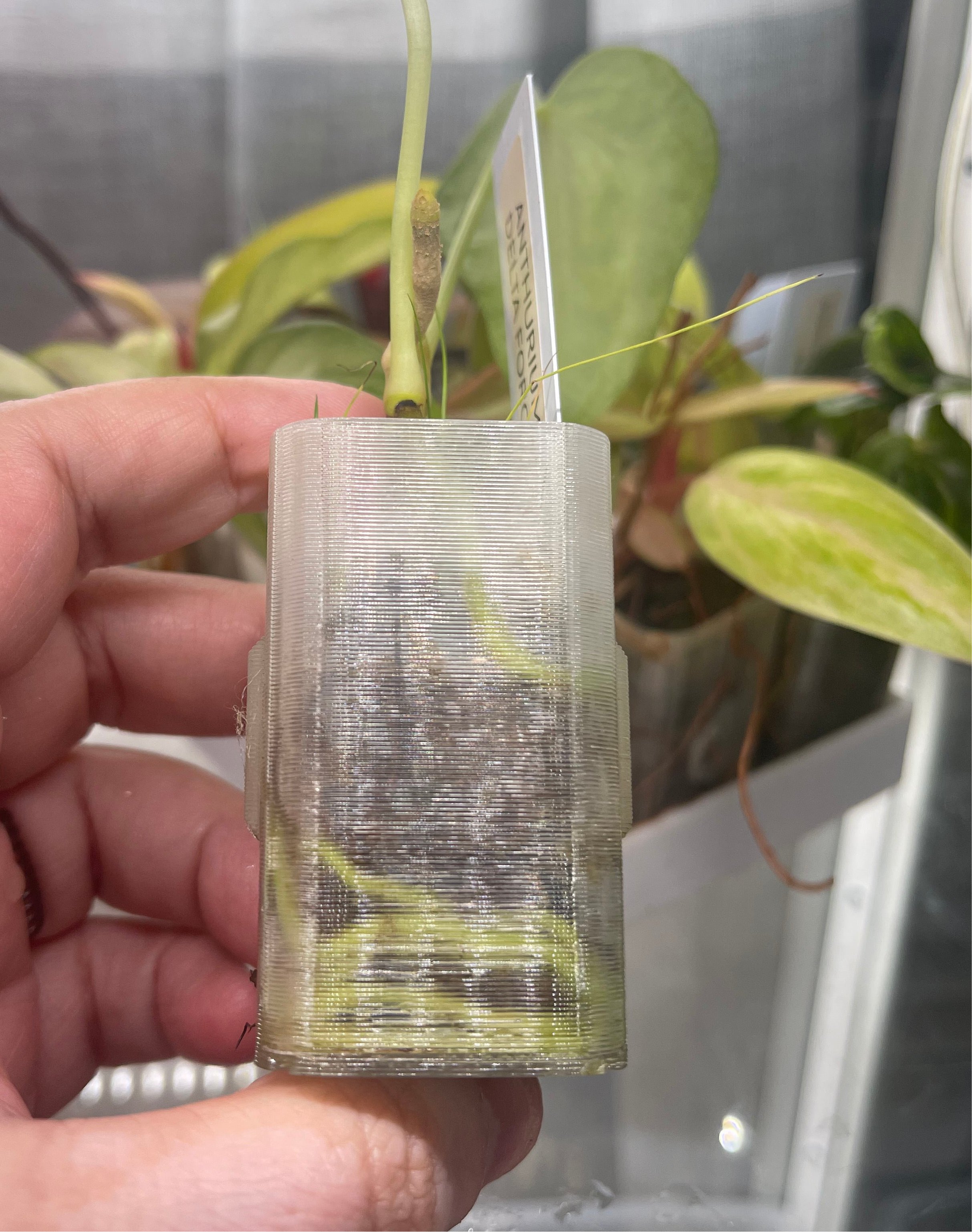 ClearGrow - Substrate Propagation Station