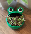 Big Mouth Frog Planter