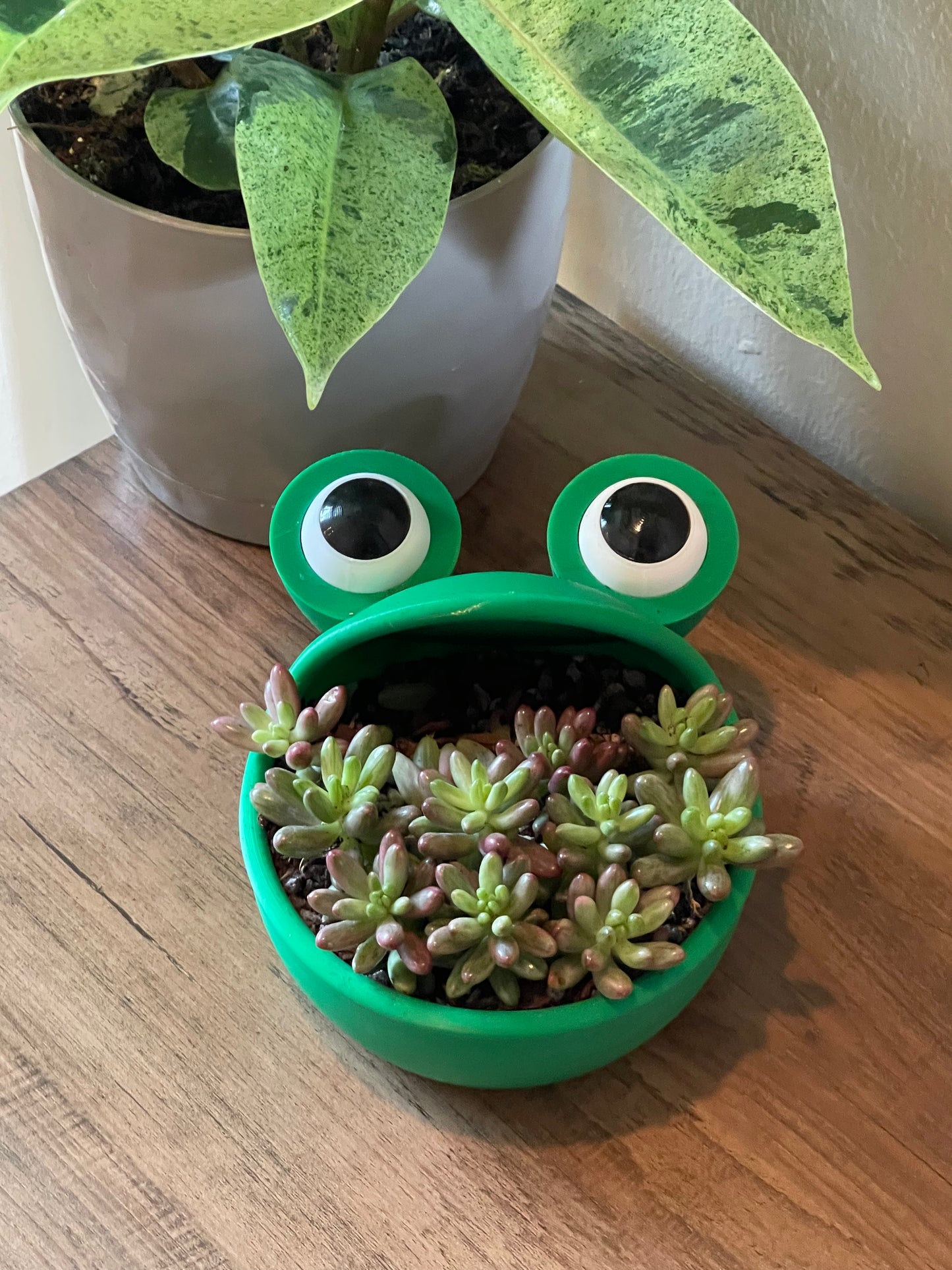 Big Mouth Frog Planter